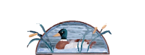 Winnapaug Inn